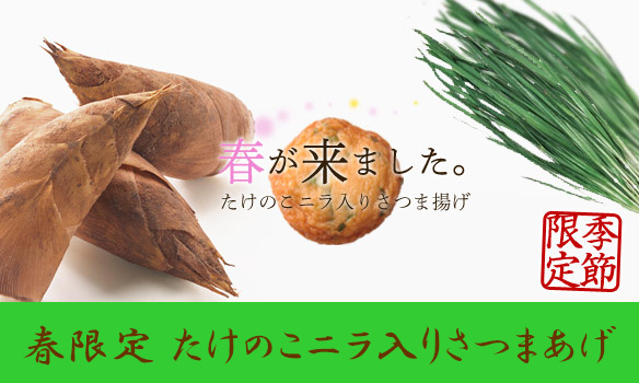 たけのこ,筍,旬,さつまあげ,ニラ,季節限定,鹿児島,九州,鹿児島グルメ,肴,酒のつまみ